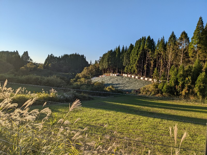 防草シート完工全景